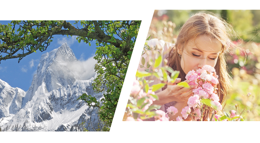 Soglio Duft der Berge