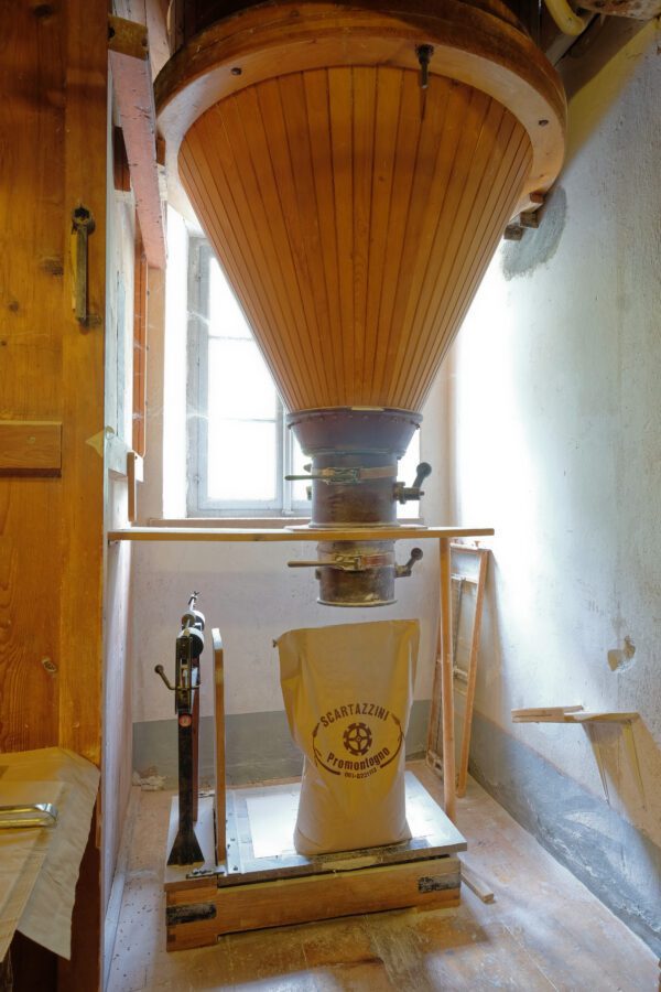 scartazzini6217